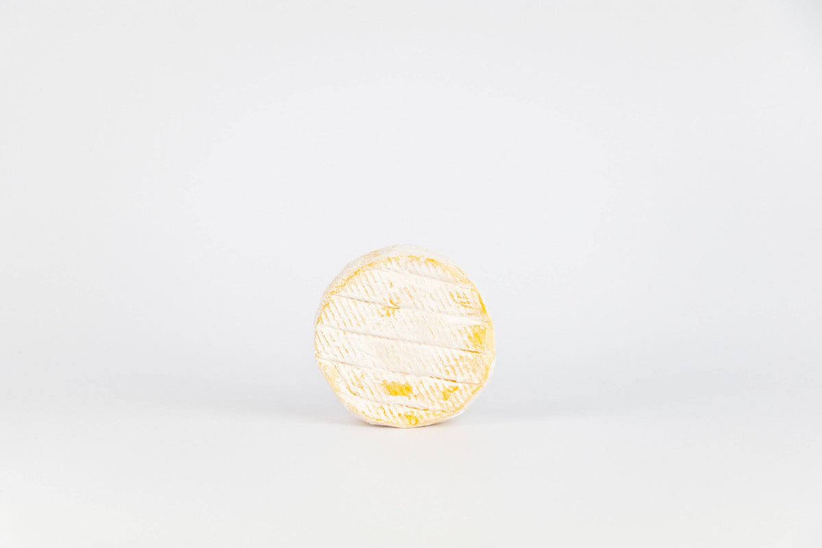 Waheed Rind C Cider Washed Rind – Fruity & Bold Soft Cheese – Gold Coast Cheese Co.